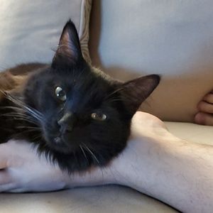 Meet your Posher, Malcolm